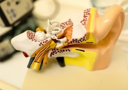 Pardubická nemocnice má nové Centrum vysoce specializované péče pro dětské pacienty s trvalou poruchou sluchu