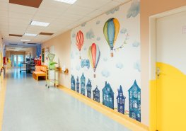 Nadstandardní přístup v nestandardní době