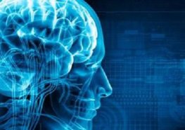 Bude se konat seminář „Roztroušená skleróza v životě pacienta“