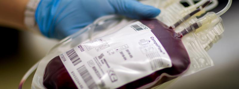 Darovat krev lze i během letních veder, je však potřeba zvýšit pitný režim